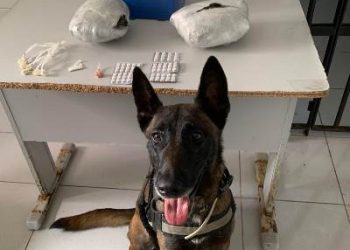 Polícia Militar apreende drogas em carreta apreendida, no Pátio Credenciado do Detran em Linhares