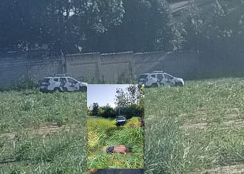 Violência sem trégua em Linhares: homem é sequestrado e espancado até a morte