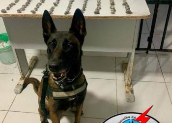 Polícia apreende mais de 80 buchas de maconha no bairro Araçá, em Linhares