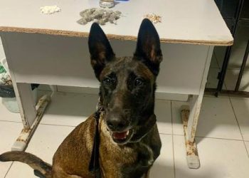 Pedrona de crack e outras drogas são apreendidas no bairro Aviso, em Linhares