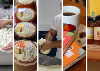 Governo do Estado lança edital para impulsionar agroindústrias e empreendimentos rurais e da pesca