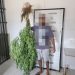 Homem é detido por cultivar maconha na localidade do Guaxe, em Linhares