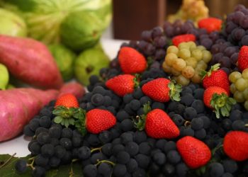 Arranjos Produtivos inicia nova fase e amplia apoio aos agricultores familiares