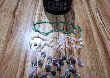 Polícia Militar apreende drogas durante operação com cão farejador no Bairro Aviso