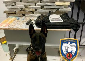 Polícia Militar apreende 20kg de drogas e prende dois suspeitos em operação na mata próxima ao Alphaville e no Interlagos, em Linhares, em Linhares