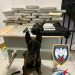 Polícia Militar apreende 20kg de drogas e prende dois suspeitos em operação na mata próxima ao Alphaville e no Interlagos, em Linhares, em Linhares