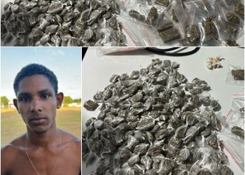 Polícia apreende mais de 200 buchas de maconha no Pontal do Ipiranga. Um suspeito foi preso