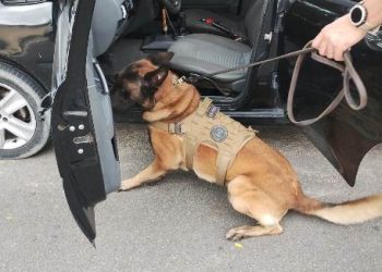 VÍDEO – Polícia federal realiza prisões, nesta quinta-feira (20), em Linhares e Vitória