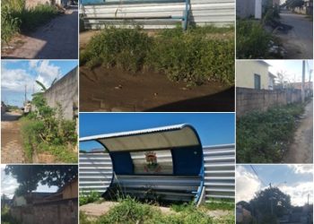 VÍDEO – Moradores reclamam de mato alto em abrigo de ônibus, ruas e avenidas de Bebedouro, em Linhares