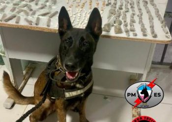 Mais de 300 porções de drogas são apreendidas com apoio de cão farejador em região conhecida como “Puteirão” no Aviso, em Linhares
