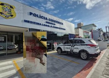 MUITO SANGUE – Homem é encontrado morto com corte no pescoço em alojamento de fazenda em Humaitá, Linhares