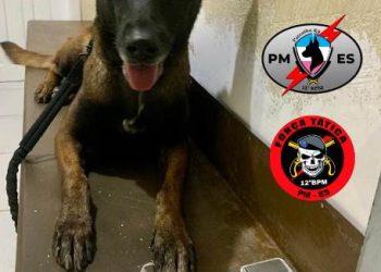 Ação com cão farejador da PM resulta na apreensão de drogas no bairro Aviso, em Linhares