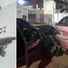 VIDEO – Fuga termina com prisão de foragido e apreensão de arma em Linhares