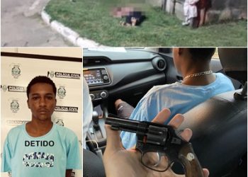 Investigação Rápida e Precisa: Polícia Civil de Linhares Elucida Homicídio em ocorrido em Humaitá