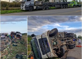 VÍDEOS – Pássaro atinge retrovisor de caminhão, que colide com carreta e tomba na BR-101, em Linhares. Motorista explica tudo