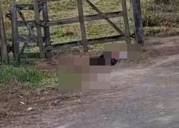 14 FACADAS – Violência sem trégua: Homem é encontrado morto e com camisa ensopada de sangue em estrada de acesso ao Alphaville, em Linhares