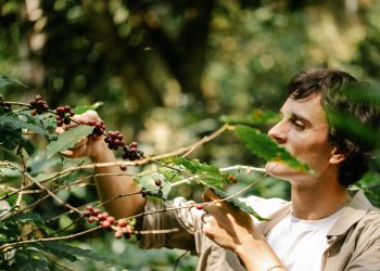 Espírito Santo cria 7.294 empregos formais em maio