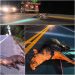 Anta é atropelada e morta na manhã desta terça-feira na BR-101 em Sooretama, e mortes de animais seguem sem solução