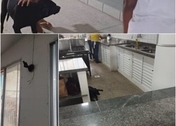 “Tem até cachorro na cozinha”: professores denunciam caos em escola municipal de Linhares