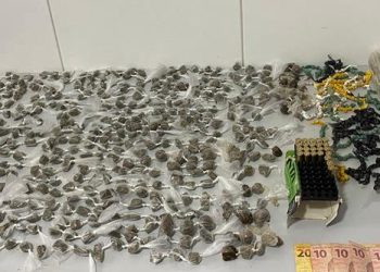 Menor de 16 anos é detido com mais de 500 pedras de crack, mais de 400 buchas de maconha e munições em Linhares