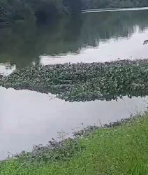 Corpo é encontrado boiando na Lagoa do Interlagos em Linhares, na manhã deste sábado