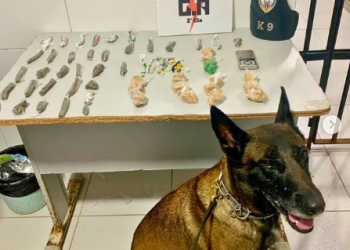 Polícia Militar apreende drogas, arma e munições durante ações em diferentes ponte de Linhares