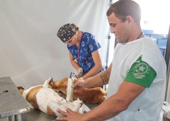 HOJE – Castra Pet volta a Linhares: ônibus atenderá quatro bairros e o distrito de Bebedouro
