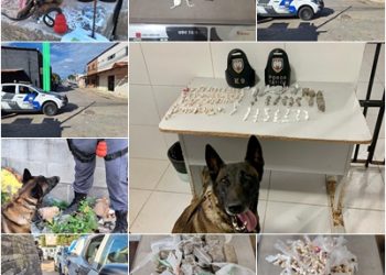 Operação da Força Tática apreende drogas no “Pó do Aviso” em Linhares