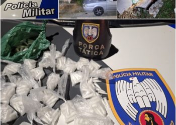 Força Tática e K9 apreendem mais de 300 pinos de cocaína em construção abandonada em Linhares