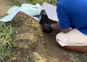 Polícia identifica jovem que abandonou recém-nascido em São Mateus. Saiba o que ela disse