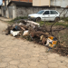 Moradores de Bebedouro reclamam de terreno baldio usado como depósito de lixo em Linhares