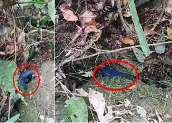 Fim do mistério: corpo de Patrick Ferreira Pinto é encontrado em decomposição em área de pedras no interior de Linhares