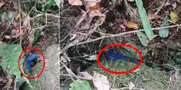 Fim do mistério: corpo de Patrick Ferreira Pinto é encontrado em decomposição em área de pedras no interior de Linhares