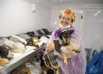 Carreta Pet Vida fará mutirão para castrar 560 cães e gatos em Linhares