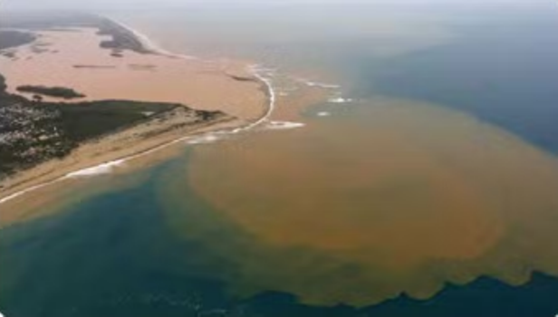 Foto - Reprodução Internet