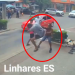 VÍDEO – Briga em pleno Centro de Linhares dura quase dois minutos, tem “voadora” e dinheiro espalhado na rua