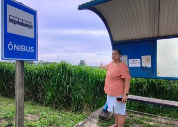 VÍDEO – Usuários de ponto de ônibus no km 162 da BR-101 pedem capina de matagal em Linhares