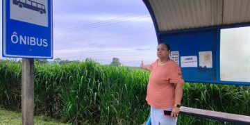 VÍDEO – Usuários de ponto de ônibus no km 162 da BR-101 pedem capina de matagal em Linhares
