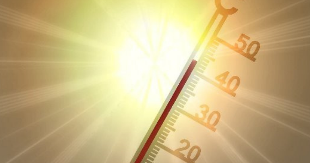 Foto - Reprodução Internet