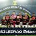 Flamengo vence o Ceará e conquista seu eneacampeonato brasileiro