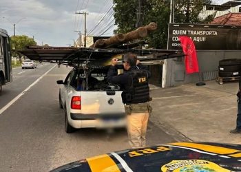 Motorista é flagrado com carga irregular e sem habilitação na BR-101, em Linhares