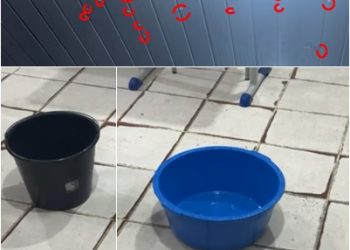 VÍDEO: Goteiras em escola de Linhares –  Prefeitura dá resposta que surpreende