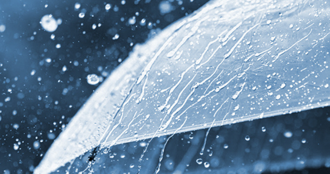 Reprodução/Internet