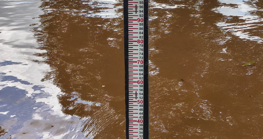 Reprodução/Internet