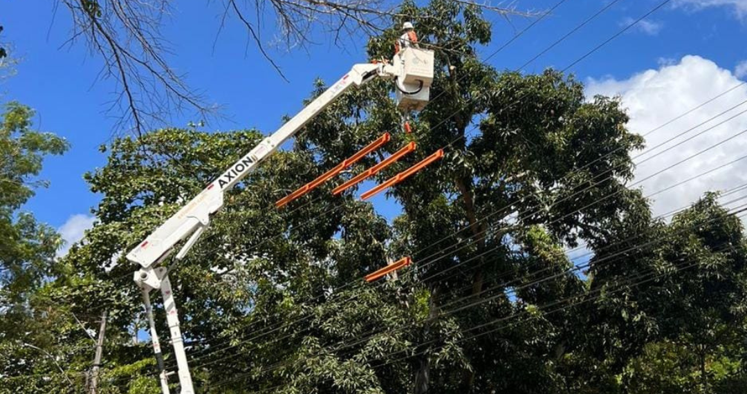 Reprodução/Internet