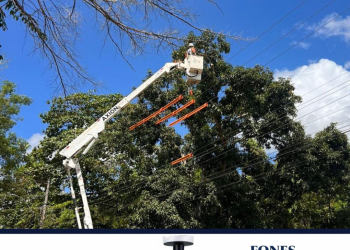 EDP realiza mutirão de melhorias na rede elétrica em Nova Venécia