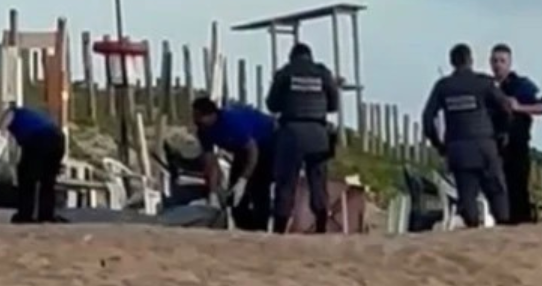 Reprodução/Internet