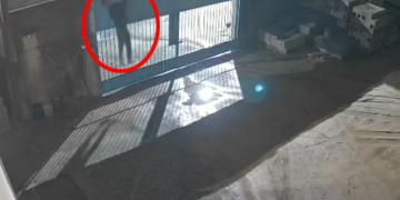 VÍDEO – PM apreende mais de 1 kg de maconha em Linhares e suspeito foge pulando muros e telhados