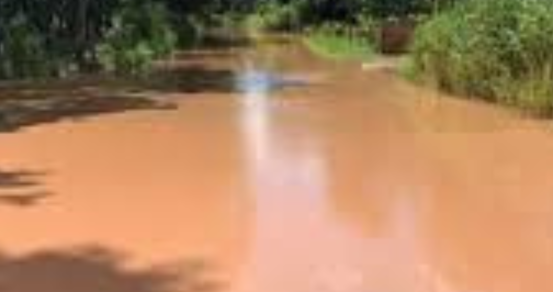 Reprodução/Internet