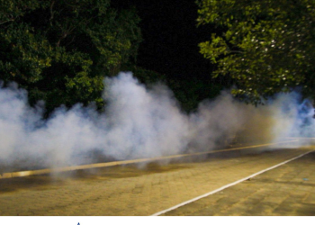 Dengue: carro fumacê percorrerá mais 9 bairros nesta semana